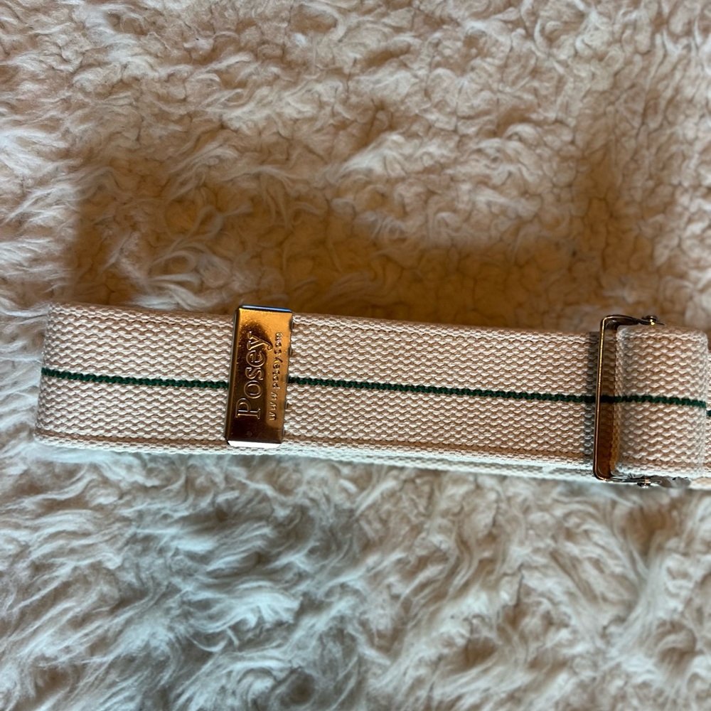Posey Cream and Green Striped belt one size for all.